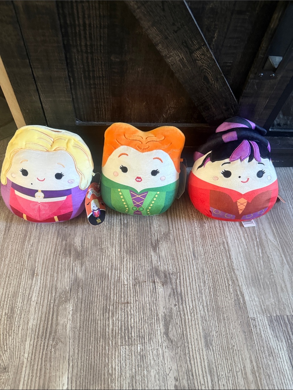 Squishmallows Hocus Pocus Sanderson Sisters